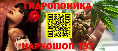 шишки Апрелевка