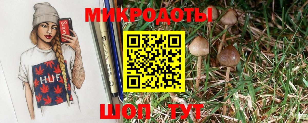 Галлюциногенные грибы Psilocybine cubensis  Вход с VPN  Галлюциногенные грибы мицелий  Белая Калитва 